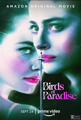 天堂鸟 Birds of Paradise