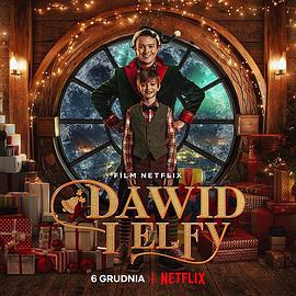 大卫的圣诞魔法 Dawid i Elfy