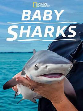 鲨鱼宝宝成长记 Baby Sharks
