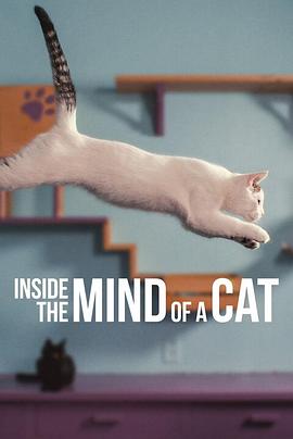 喵星人的奇思妙想 Inside the Mind of a Cat