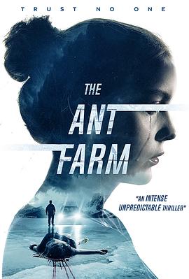 蚂蚁农场 The Ant Farm