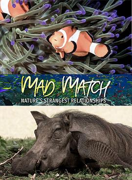 疯狂拍档：自然界最神奇的友谊 Mad Match: Nature's Strangest Relationships