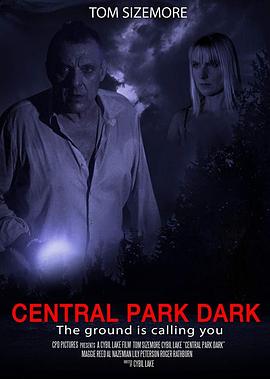 暗黑中央公园 Central Park Dark