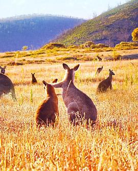 袋鼠谷 Kangaroo Valley