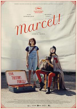 马赛尔 Marcel!